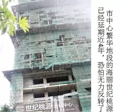 世紀(jì)桃花源