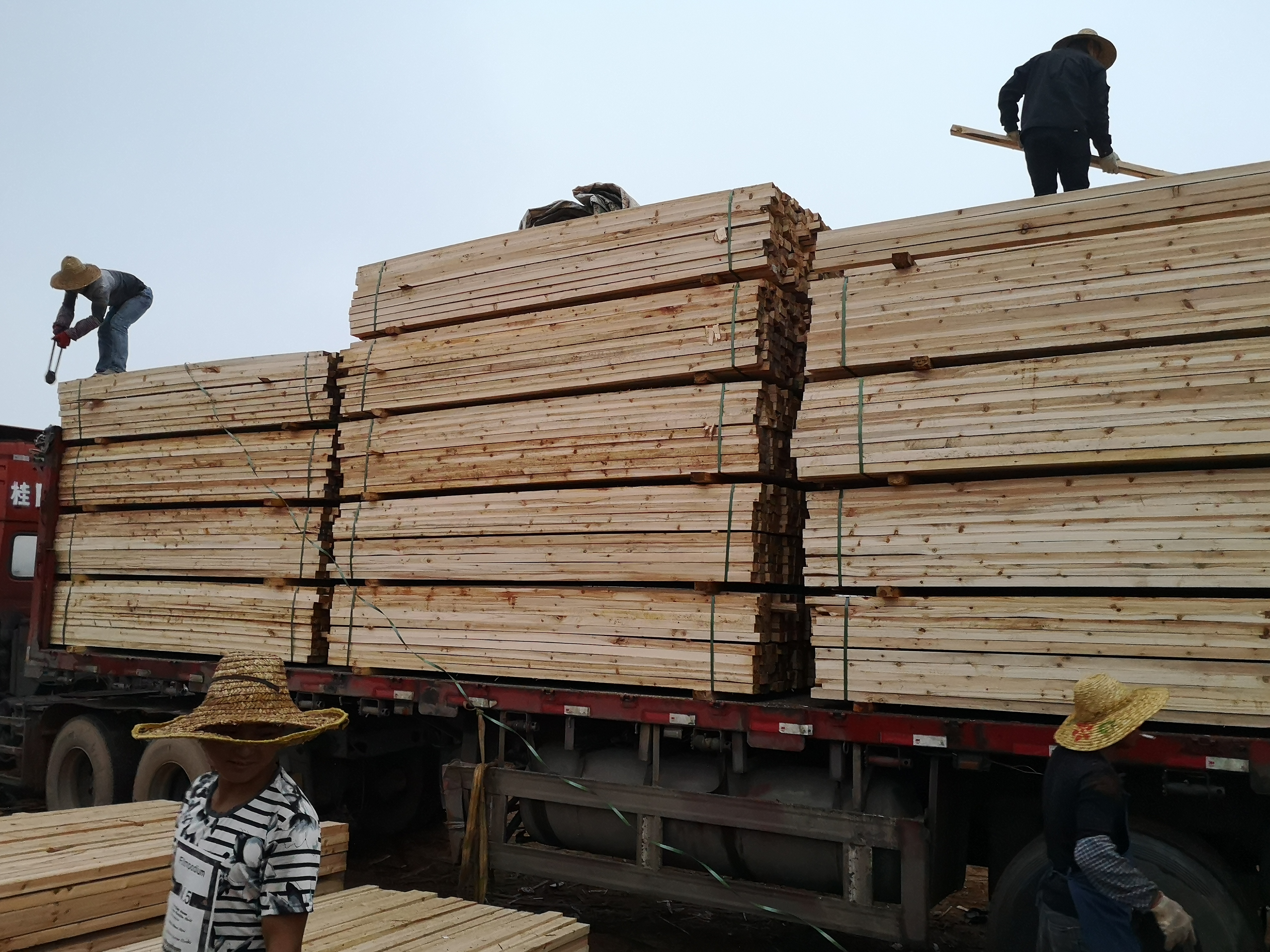 杉木建筑木方 杉木建筑木方